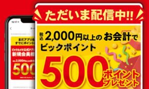 ビックカメラお得なキャンペーン・クーポン情報